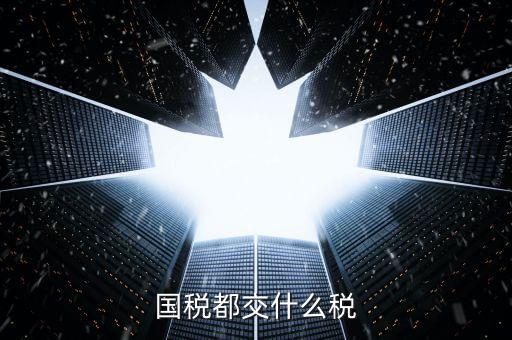 國(guó)稅稅款是什么，國(guó)稅都交什么稅