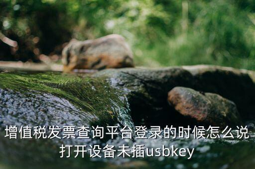 金稅盤登陸口令是什么，增值稅發(fā)票查詢平臺登錄的時候怎么說打開設備未插usbkey