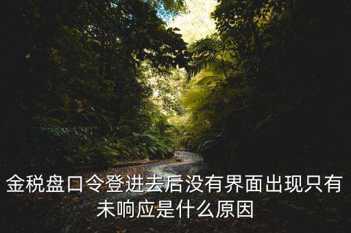金稅盤(pán)口令登進(jìn)去后沒(méi)有界面出現(xiàn)只有未響應(yīng)是什么原因