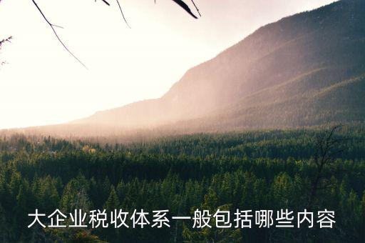 企業(yè)付稅體制是什么，我國稅收管理體制是什么