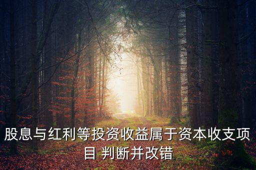股息紅利等投資收益屬于什么，股息與紅利等投資收益屬于資本收支項目 判斷并改錯