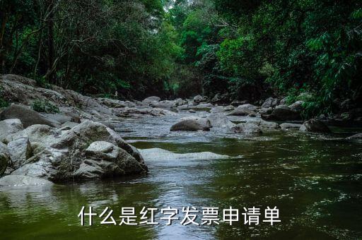 紅字申請單是什么意思，由銷售方申請開具紅字發(fā)票是什么意思