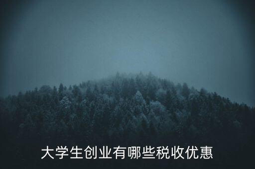 學(xué)校有什么稅收優(yōu)惠，大學(xué)生創(chuàng)業(yè)有哪些稅收優(yōu)惠