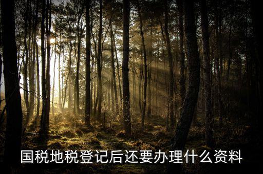 稅都交了還申報(bào)什么資料，國(guó)稅地稅登記后還要辦理什么資料