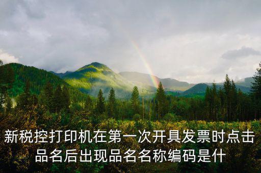 發(fā)票 商品編碼是什么，發(fā)票號碼和發(fā)票代碼是什么我的發(fā)票上只有單據(jù)編碼和貨品編號啊