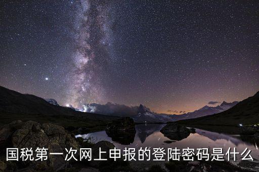 國稅第一次網上申報的登陸密碼是什么