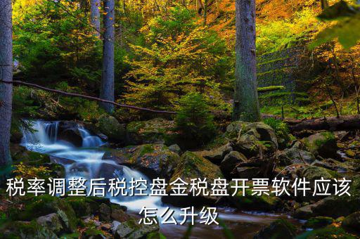 稅率調(diào)整后稅控盤金稅盤開票軟件應該怎么升級