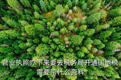 有了營業(yè)執(zhí)照要帶什么去辦稅，拿到營業(yè)執(zhí)照銀行開戶后去辦稅帶什么證件