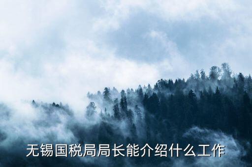 無錫地稅局長接待日是什么，無錫國稅局局長能介紹什么工作