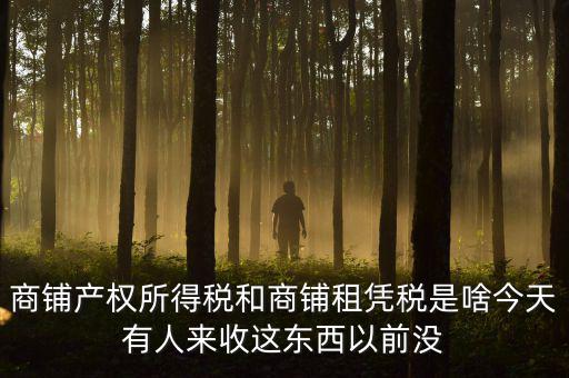 什么叫店面租憑稅，商鋪產(chǎn)權(quán)所得稅和商鋪租憑稅是啥今天有人來收這東西以前沒