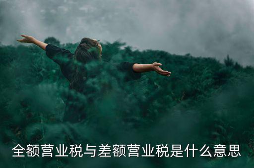什么叫差額征稅，什么是差額稅