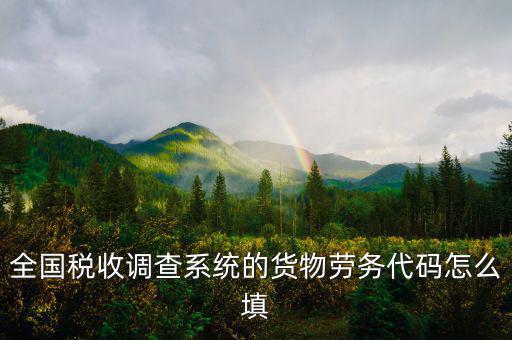商品和勞務(wù)編碼是什么，貨物勞務(wù)代碼如何填