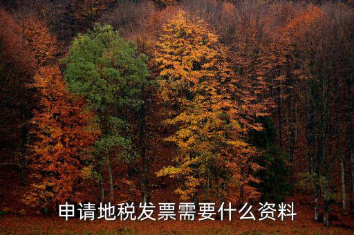 地稅局開票需要帶什么，申請地稅發(fā)票需要什么資料
