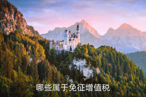 銷售什么可以免稅，哪些屬于免征增值稅