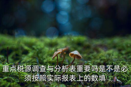 重點(diǎn)稅源分析分析什么，重點(diǎn)稅源的介紹