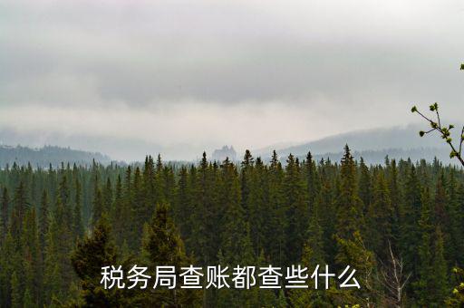 稅務(wù)局查稅一般查什么，請問一下老師一般稅務(wù)局人來查帳一般查什么的