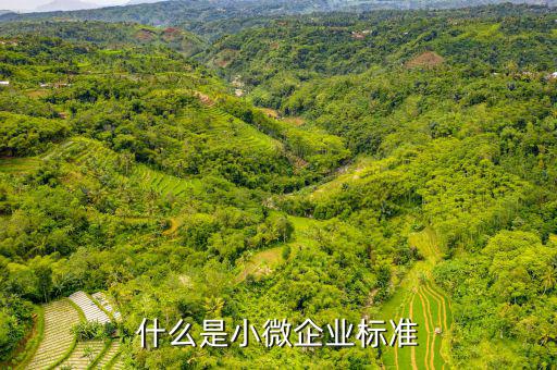 小型微利企業(yè)標(biāo)準(zhǔn)是什么，微小型企業(yè)的標(biāo)準(zhǔn)是什么
