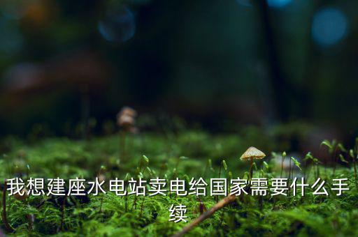企業(yè)賣電需要什么手續(xù)費，我想建座水電站賣電給國家需要什么手續(xù)