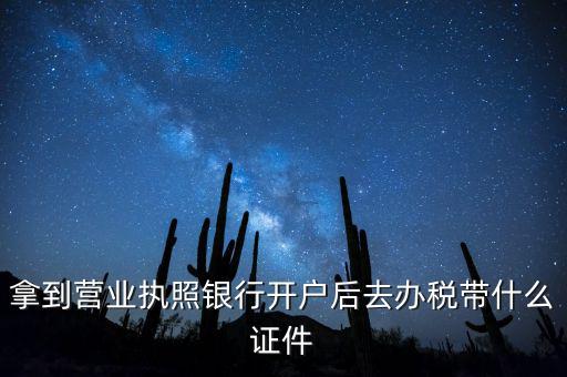 拿到營(yíng)業(yè)執(zhí)照銀行開戶后去辦稅帶什么證件