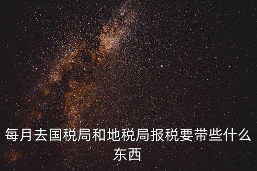 國稅大廳報(bào)稅需要什么，你好請教你一下如果我去國稅大廳報(bào)稅的話都需要帶什么東西填