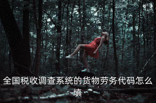 全國稅收調(diào)查系統(tǒng)的貨物勞務代碼怎么填
