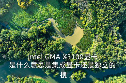 國(guó)稅集成理念是什么意思，Intel GMA X3100顯卡 是什么意思是集成顯卡還是獨(dú)立的  搜