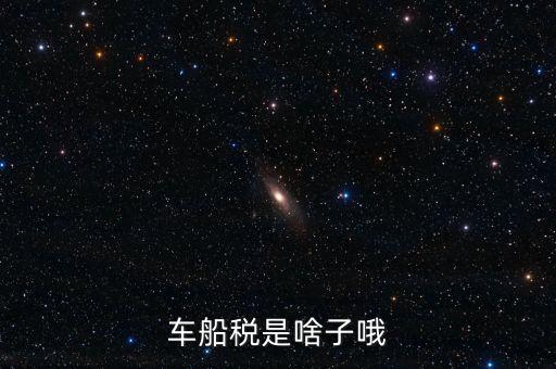 保險的車船稅是什么，車船稅是啥子哦