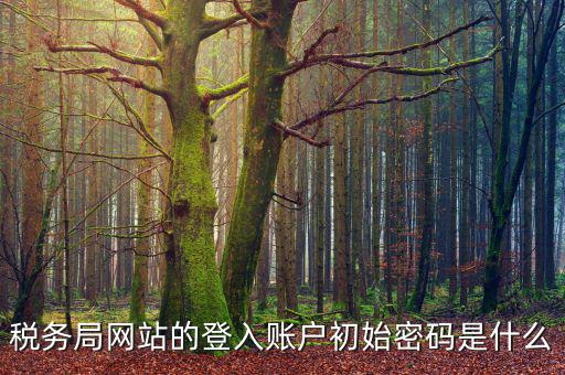 浙江國稅登入密碼是什么，稅務(wù)局網(wǎng)站的登入賬戶初始密碼是什么
