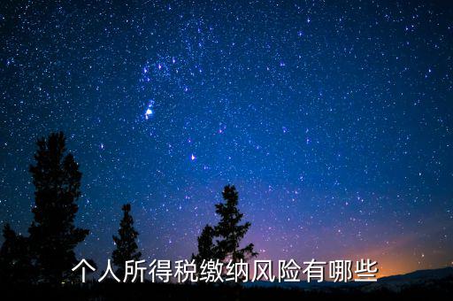 個人所得稅繳納風(fēng)險(xiǎn)有哪些
