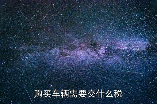車輛納稅需要什么，汽車交稅需要帶什么