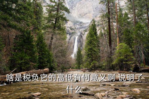 什么是稅負(fù)分析，增值稅稅負(fù)什么意思