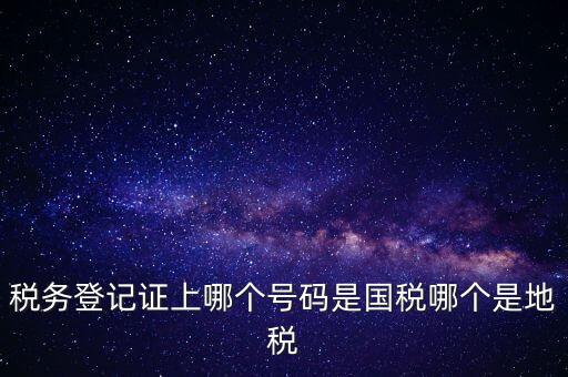 國稅地稅登記號是什么，稅務登記證上哪個號碼是國稅哪個是地稅