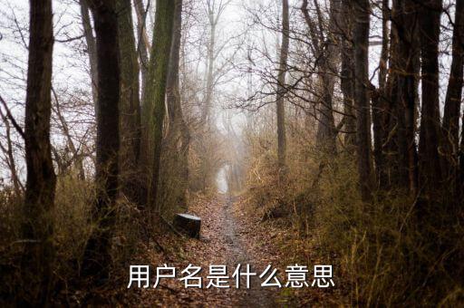 個(gè)稅用戶名是指什么意思，用戶名是什么意思