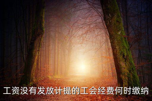 工會(huì)經(jīng)費(fèi)一般什么時(shí)候交，工資沒有發(fā)放計(jì)提的工會(huì)經(jīng)費(fèi)何時(shí)繳納