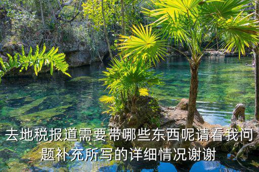 去地稅報道需要帶哪些東西呢請看我問題補充所寫的詳細(xì)情況謝謝