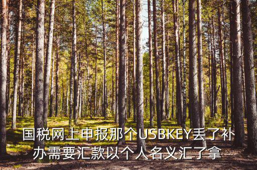 稅務(wù)ukey是什么意思，國稅網(wǎng)上申報那個USBKEY丟了補辦需要匯款以個人名義匯了拿
