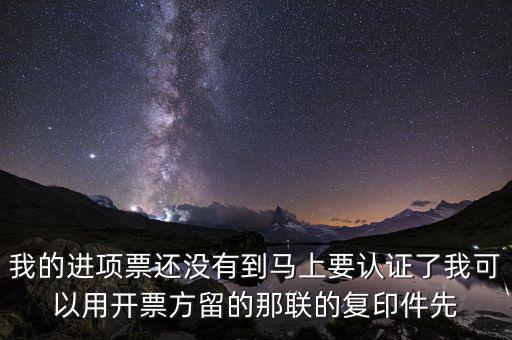 納稅清單驗(yàn)證碼是什么，我的進(jìn)項(xiàng)票還沒有到馬上要認(rèn)證了我可以用開票方留的那聯(lián)的復(fù)印件先