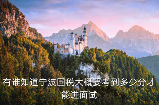 國(guó)稅 要求什么素質(zhì)，國(guó)稅公務(wù)員面試
