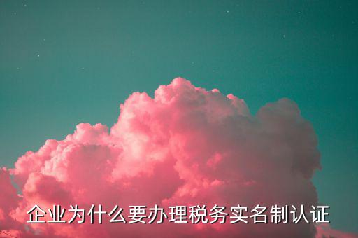 為什么辦稅實名制，國家稅務(wù)實行實名制是為了什么