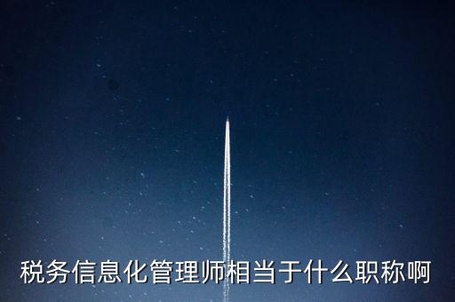 稅務信息化管理師相當于什么職稱啊