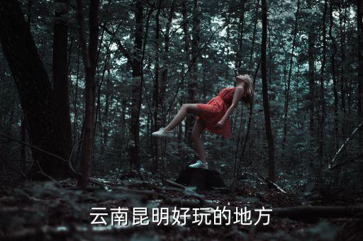云南昆明地稅旁有什么好玩的地方，云南昆明有哪些好玩的地方