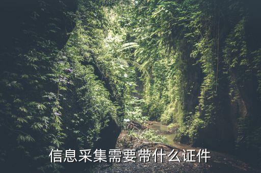 實名信息采集帶什么東西，去銀行辦理對公信息采集表需要帶哪些東西