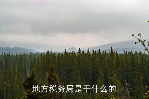 地稅局涉外稅收做什么，陜西發(fā)票涉外地稅是什么意思