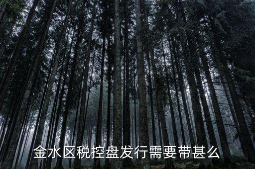 稅盤發(fā)行要帶什么資料，去國稅局辦發(fā)行需要什么資料