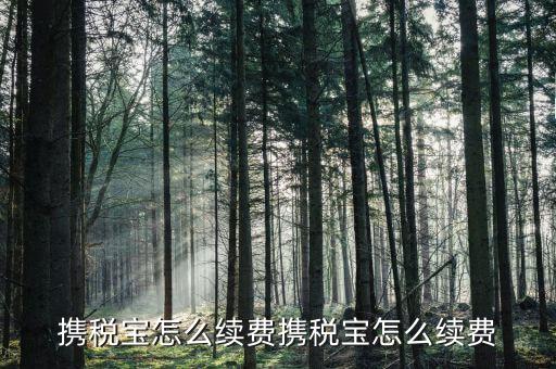 稅寶續(xù)費(fèi)帶什么意思，攜稅寶續(xù)費(fèi)后怎樣使用