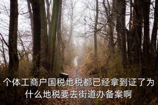 為什么要到國(guó)稅地稅備案，個(gè)體工商戶國(guó)稅地稅都已經(jīng)拿到證了為什么地稅要去街道辦備案啊