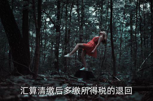 匯算清繳多繳稅款什么時(shí)候退，企業(yè)所得稅匯算清繳退款什么時(shí)候到賬