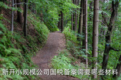 國稅備案需要什么材料，新開小規(guī)模公司國稅備案需要哪些材料