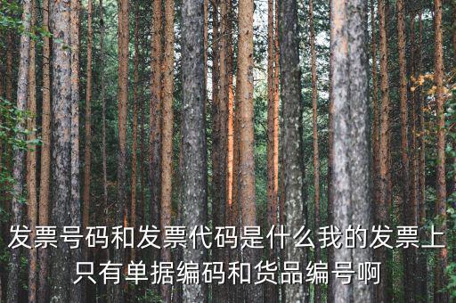 發(fā)票代碼和發(fā)票號(hào)碼是什么，發(fā)票代碼和發(fā)票號(hào)碼有什么用