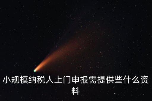 什么是上門申報(bào)，小規(guī)模納稅人上門申報(bào)需提供些什么資料